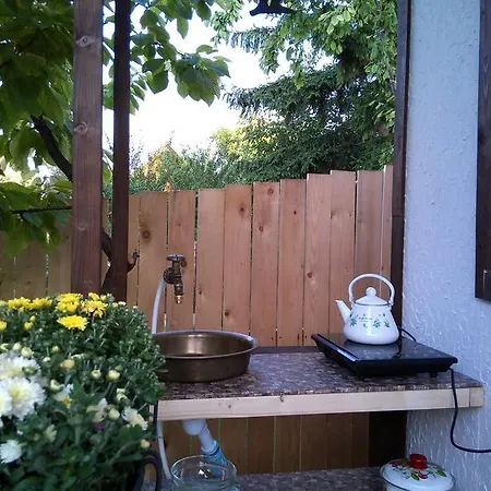 Dachniy Guest house *